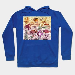 Sunlight shines through the tropical fish surf Hoodie